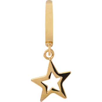 Gold plated Star charm from Christina Collect